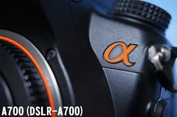 α700(DSLR-A700)のαロゴ