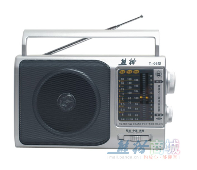 T-06(PANDA)