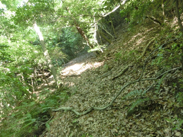 山中