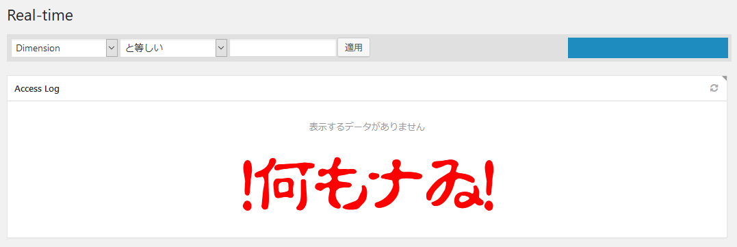 表示するデータがありません_Slimstat Analytics